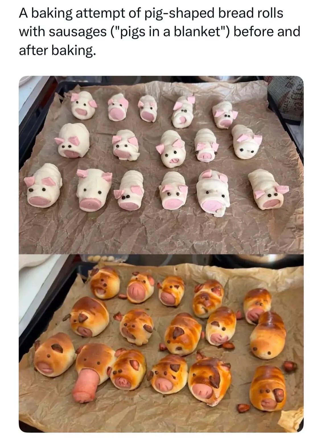 pigs in a blanket.jpg